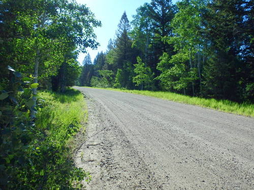 GDMBR: Here the road was a super highwa.